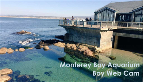 Monterey Bay 